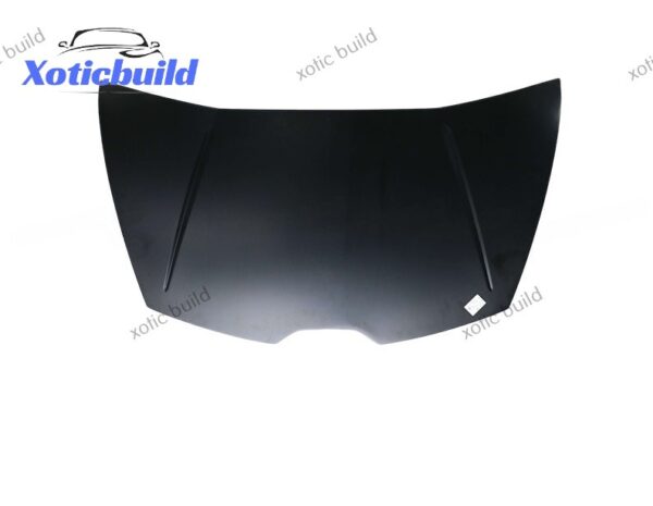 New Arrival OEM hood For Lamborghini 580 610 4T0823021C